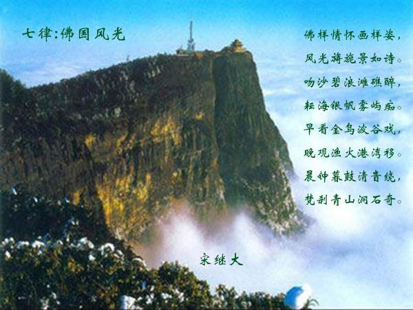 世界上最恐怖的原始森林在哪？游戏画面