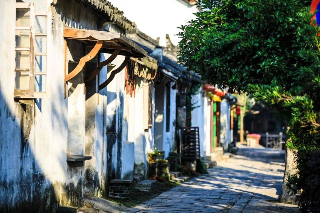 孤岛先锋