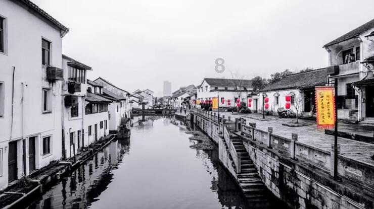 20张图片证明猫和狗之间有友谊:跨种族的爱是真实存在的!